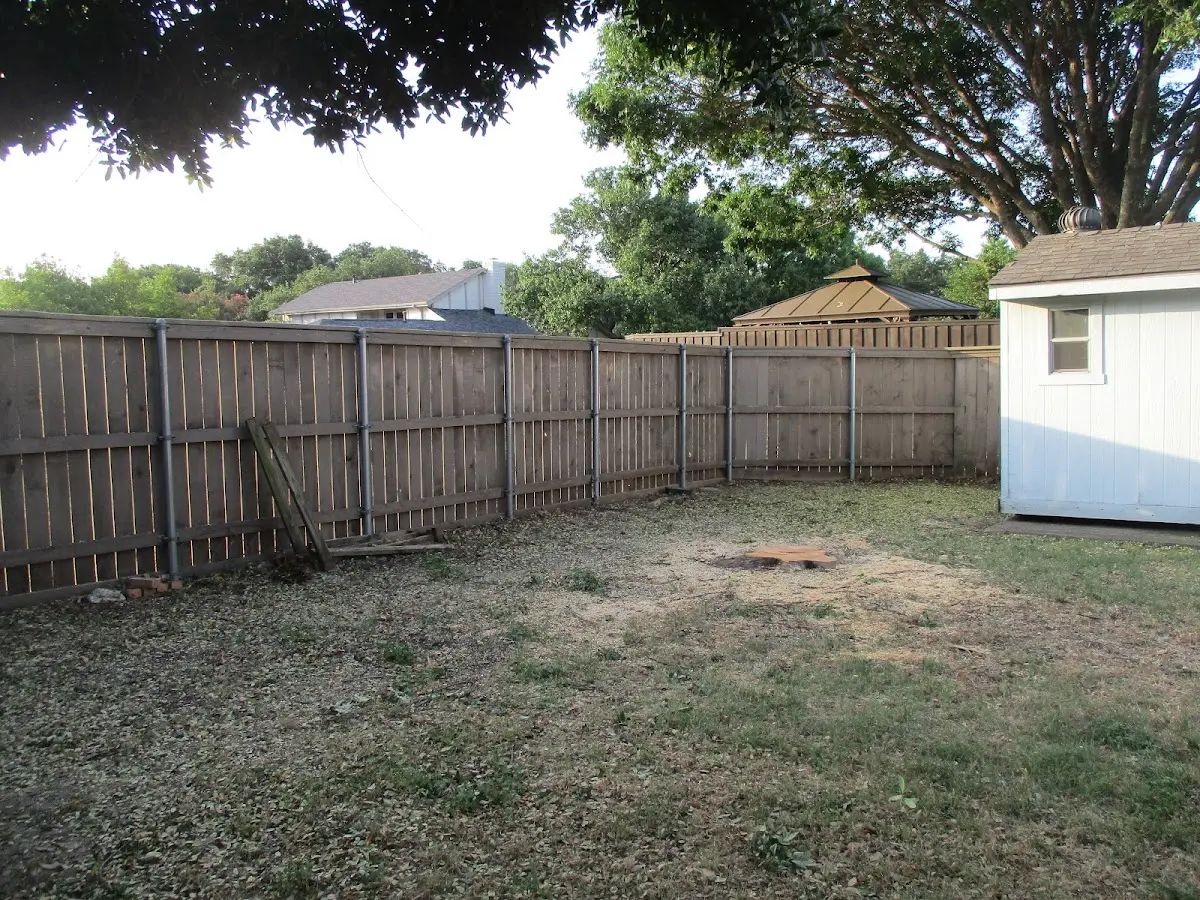 Cleared yard after professional tree removal in Floodwood